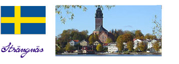 Domkirken i Str&auml;ngn&auml;s